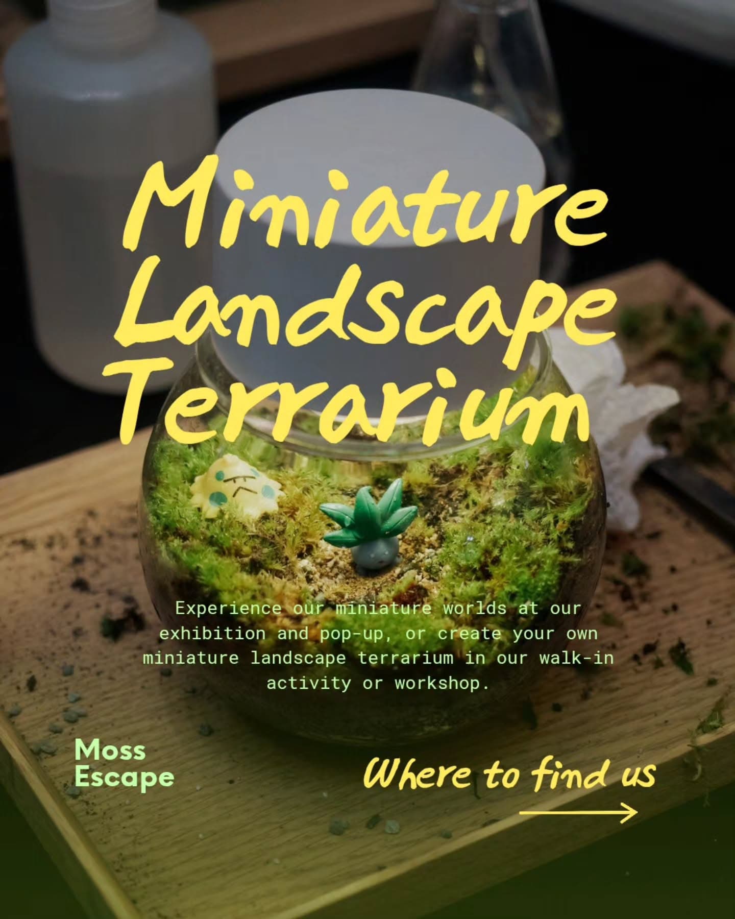 Miniature Landscape Terrarium July Workshop