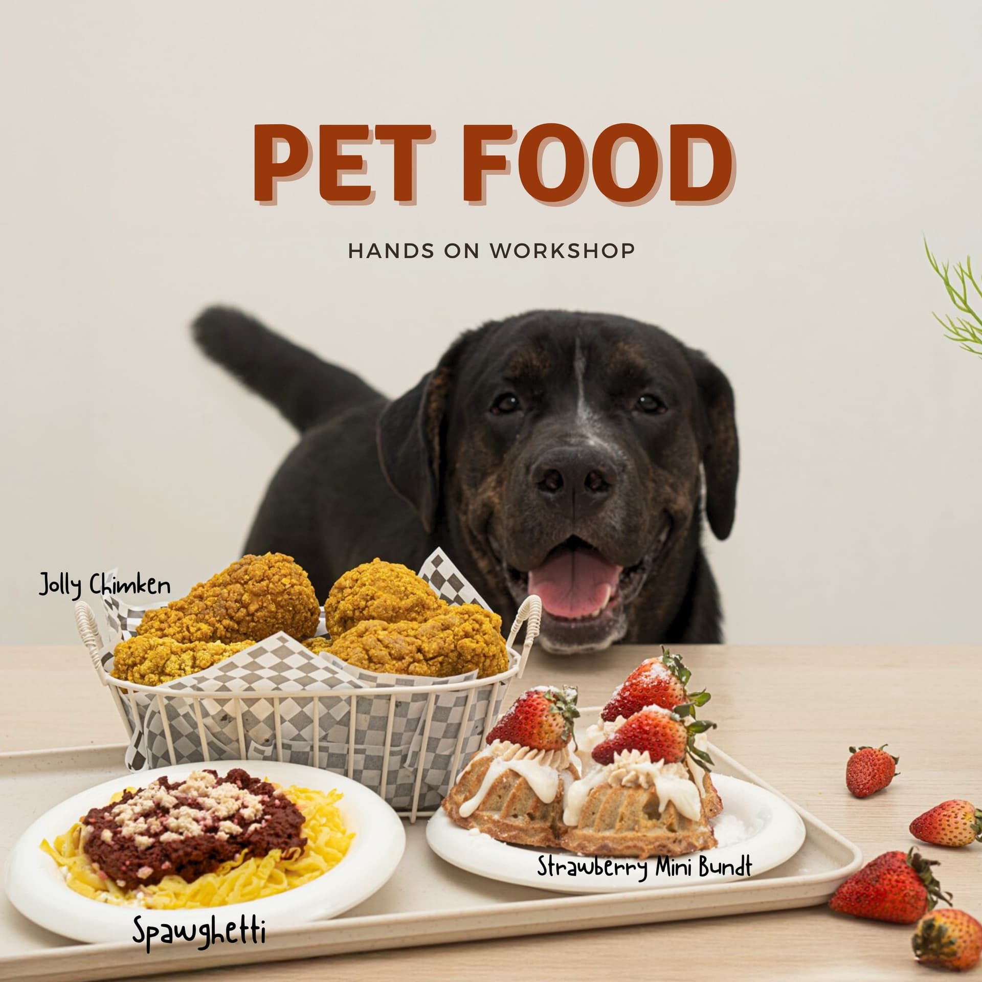 Pet Food Workshop